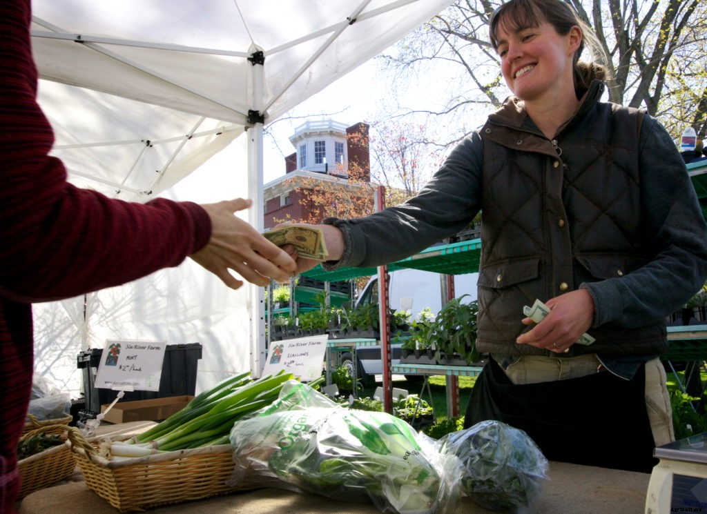 Best crops to grow to make money