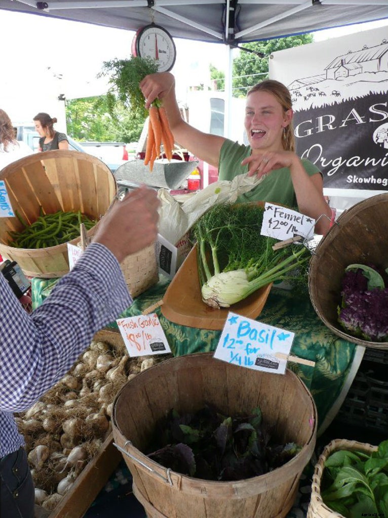 Best crops to grow to make money