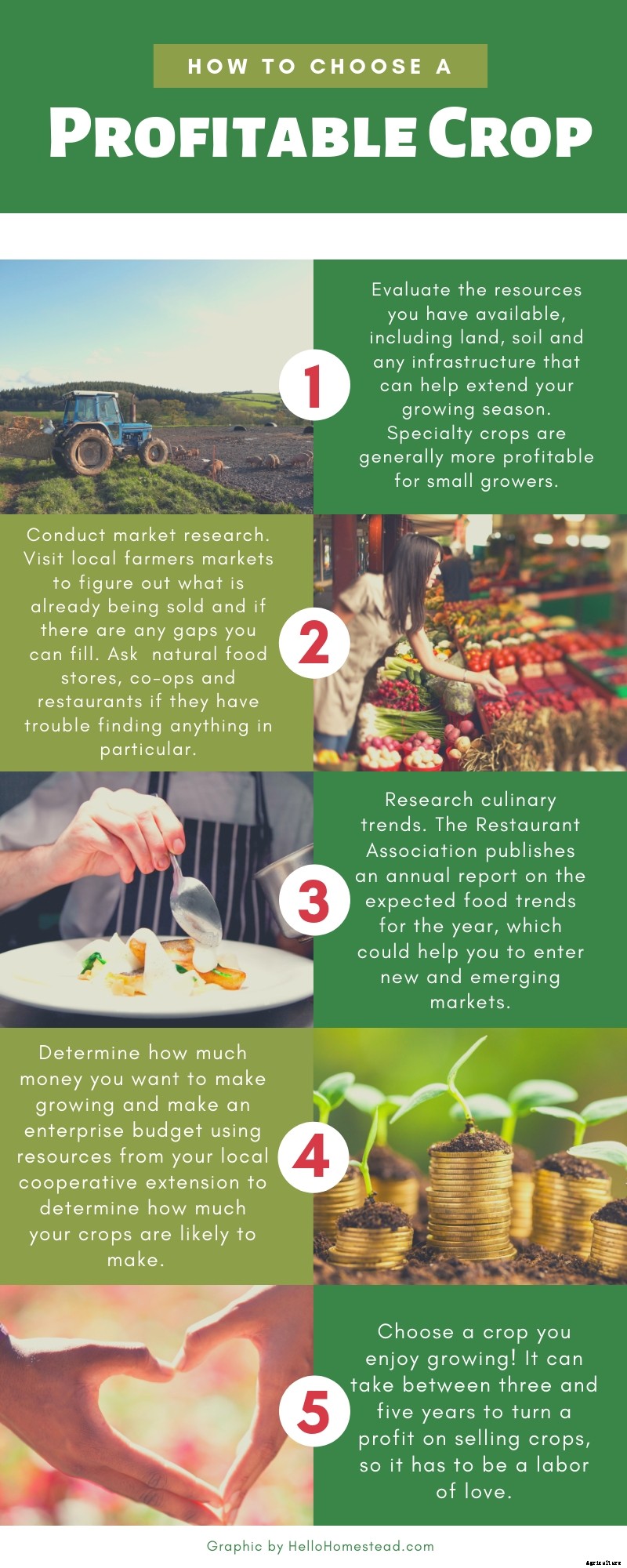 Best crops to grow to make money