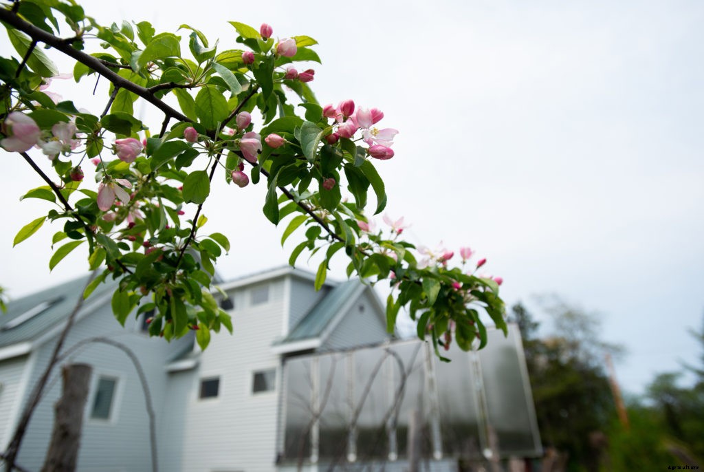 What is permaculture?