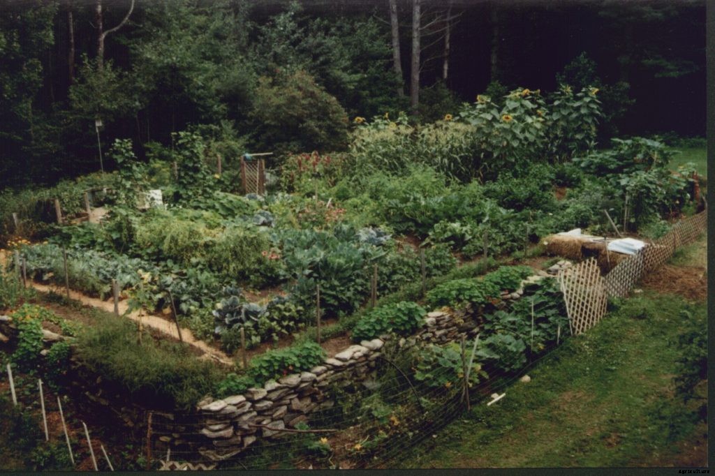 What is permaculture?