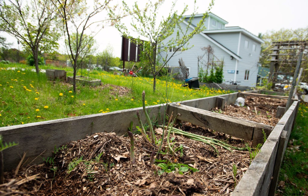 What is permaculture?