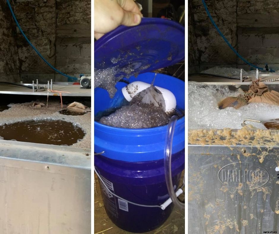 The controversy around compost tea