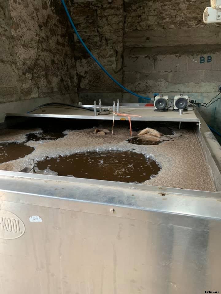 The controversy around compost tea