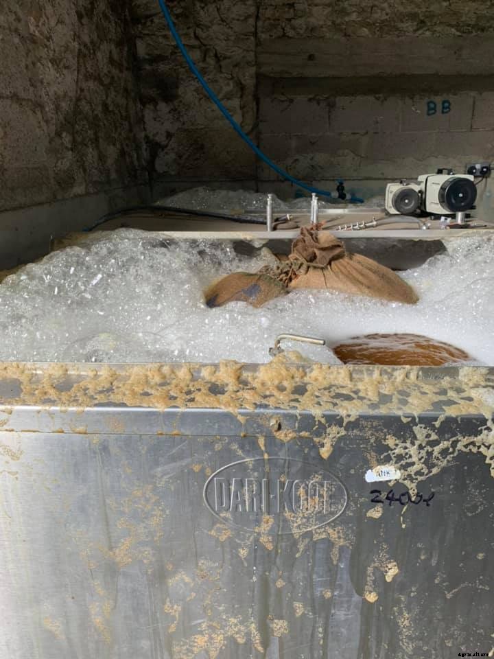 The controversy around compost tea