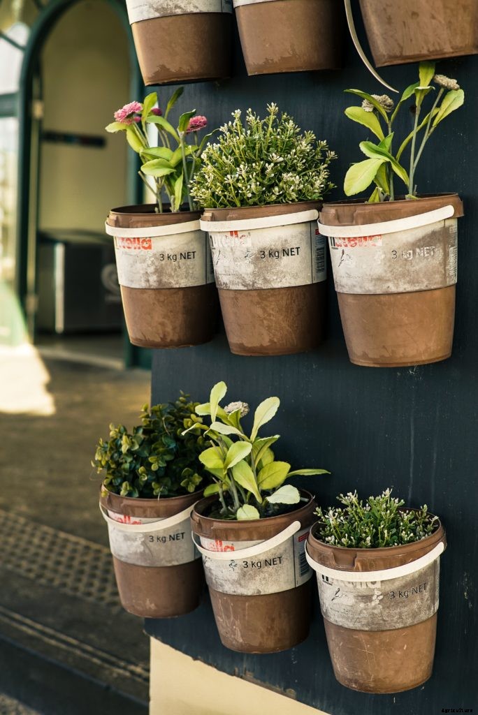 A beginner’s guide to container gardening