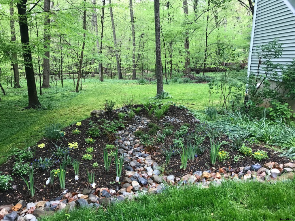 Replace that soggy section of lawn with a rain garden