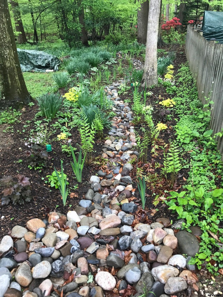Replace that soggy section of lawn with a rain garden