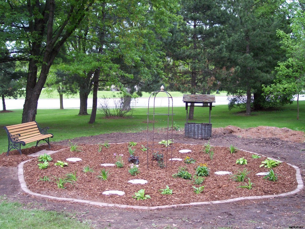 Replace that soggy section of lawn with a rain garden
