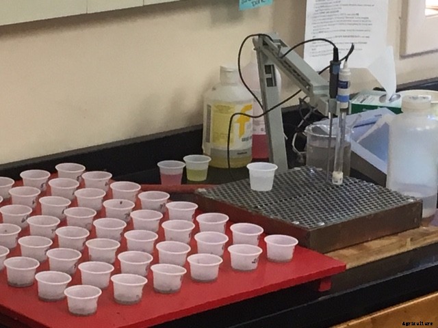 Why you should get a soil test (and what to do with it when you do)