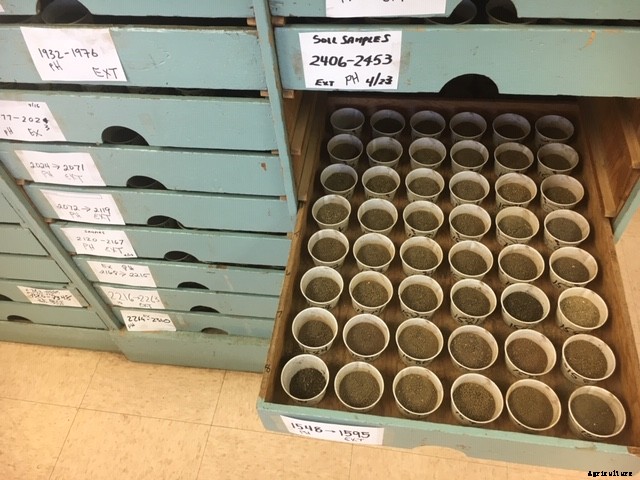 Why you should get a soil test (and what to do with it when you do)