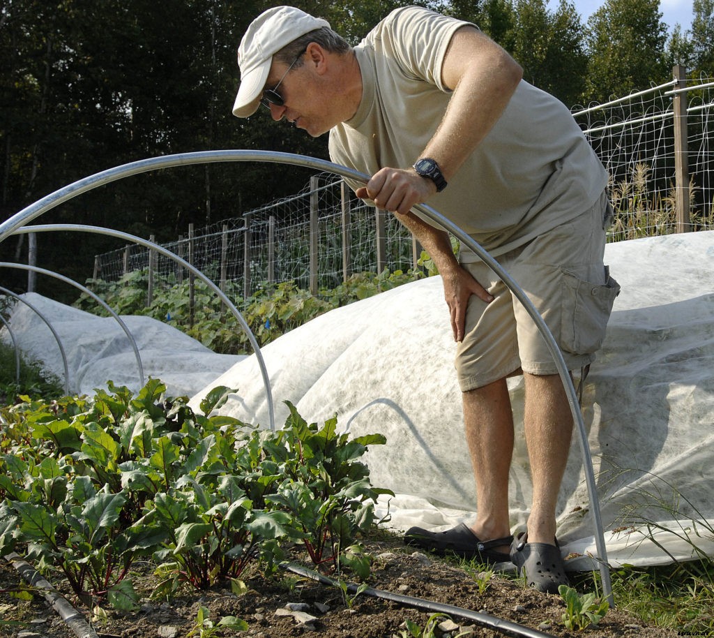 How to protect your plants from an unexpected spring frost