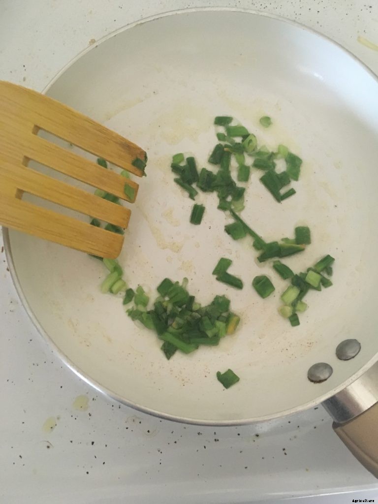 This trick to regrow scallions really works