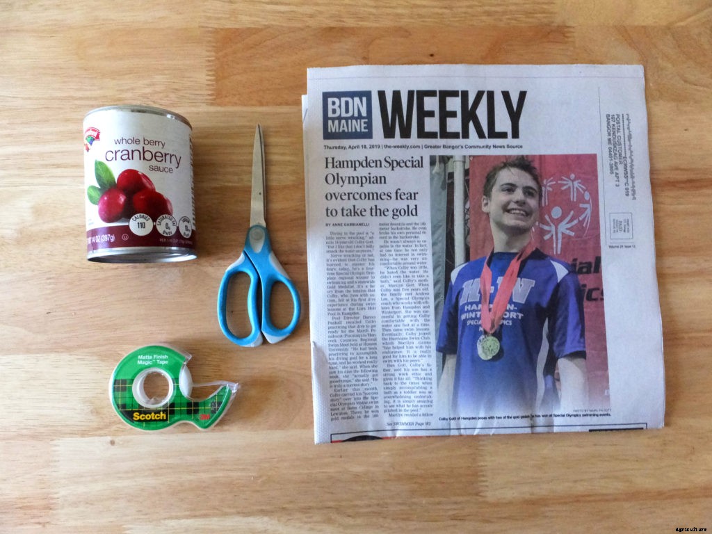 How to make starter pots from newspaper