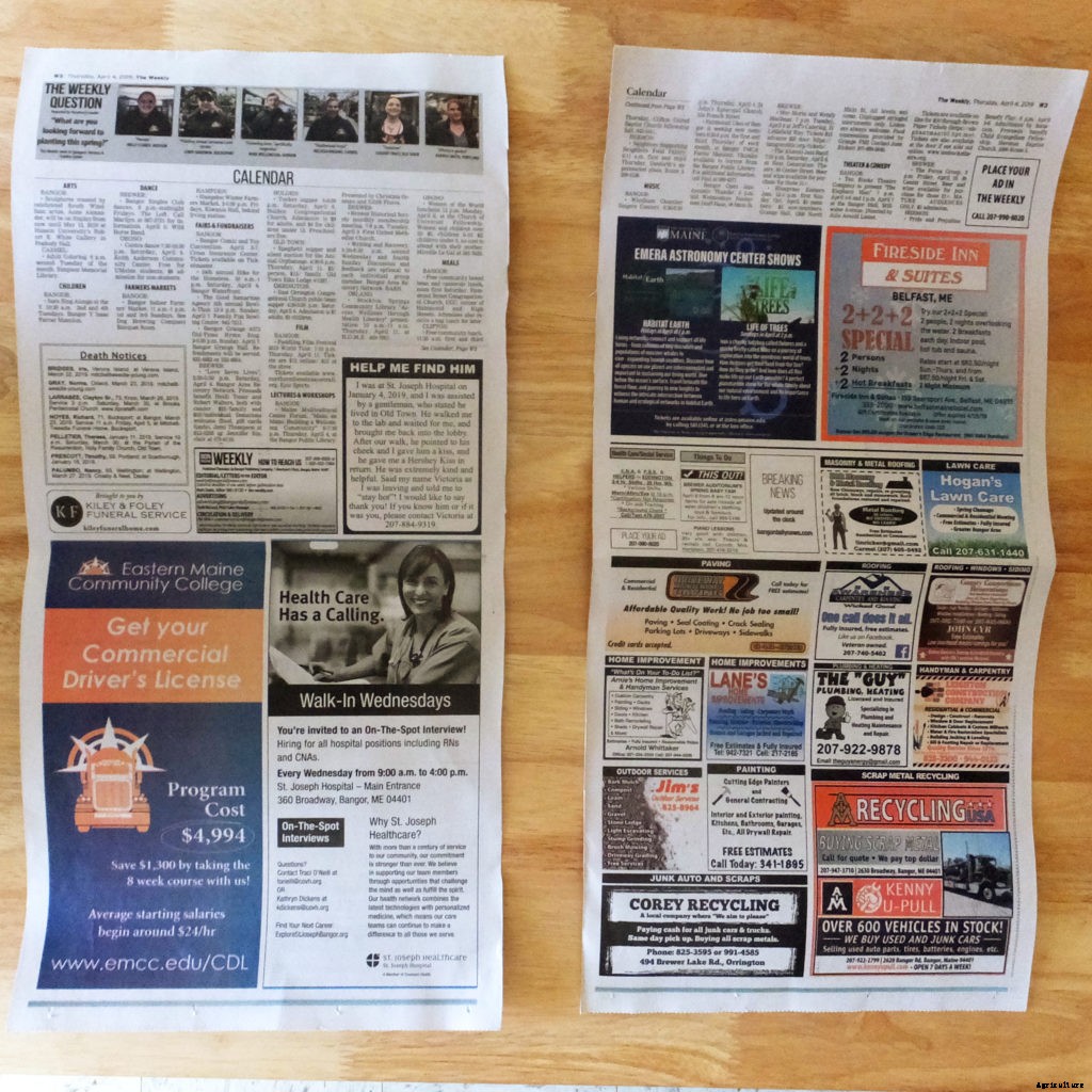 How to make starter pots from newspaper