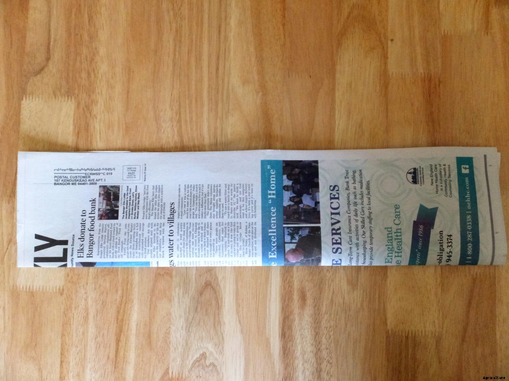 How to make starter pots from newspaper