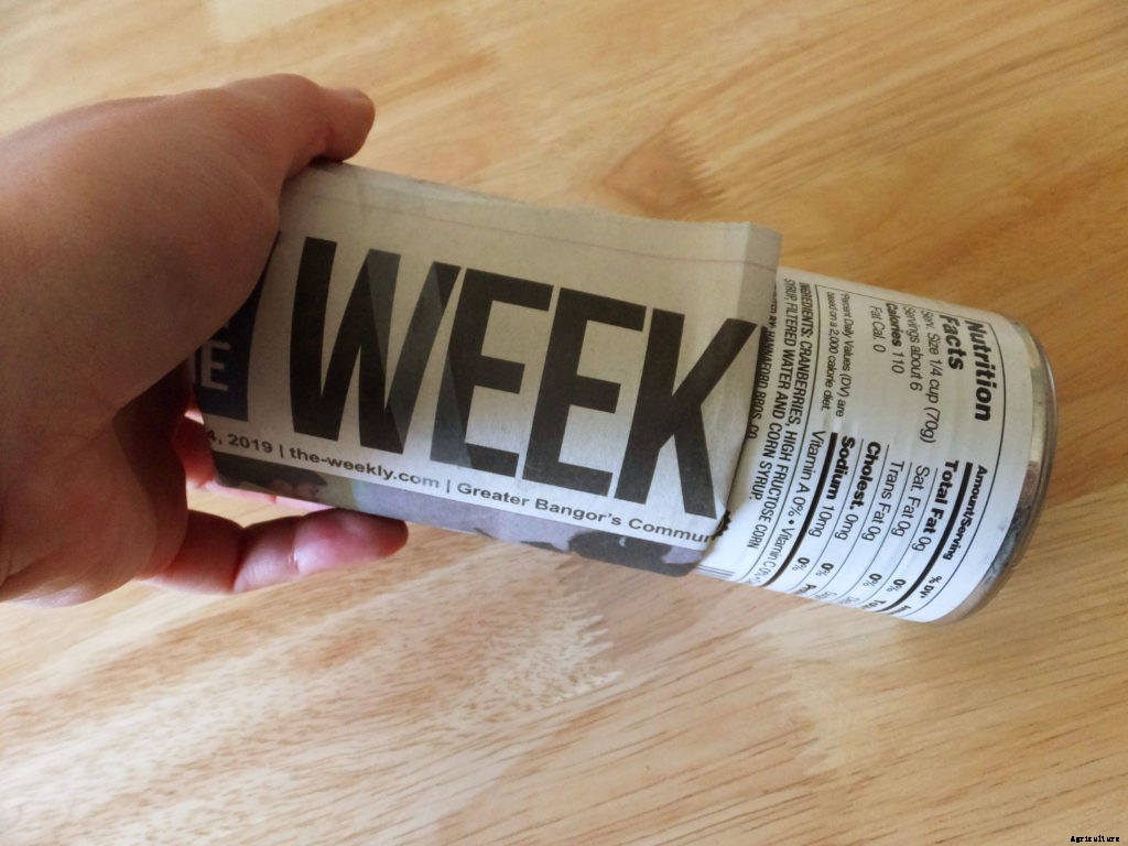 How to make starter pots from newspaper