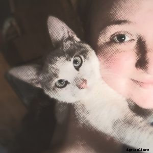 A beginner’s guide to growing lavender seeds