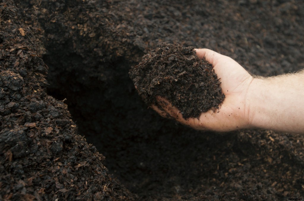 Easy soil tests you can do at home