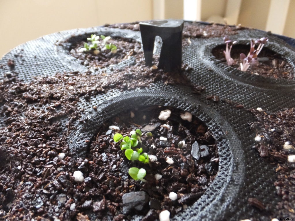 Is the Seedsheet Mini good for apartment dwellers?