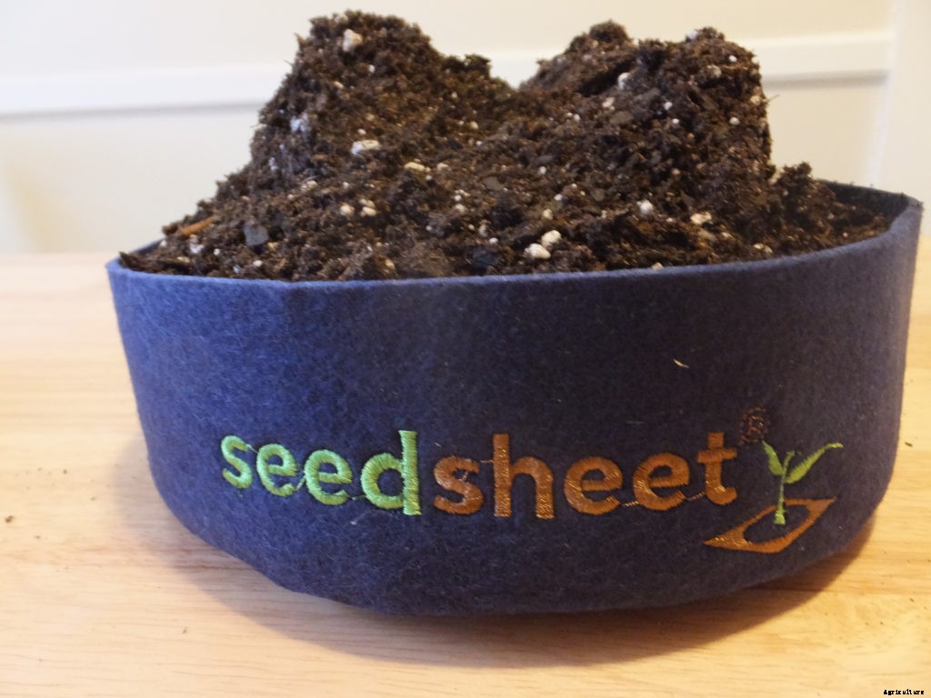 Is the Seedsheet Mini good for apartment dwellers?