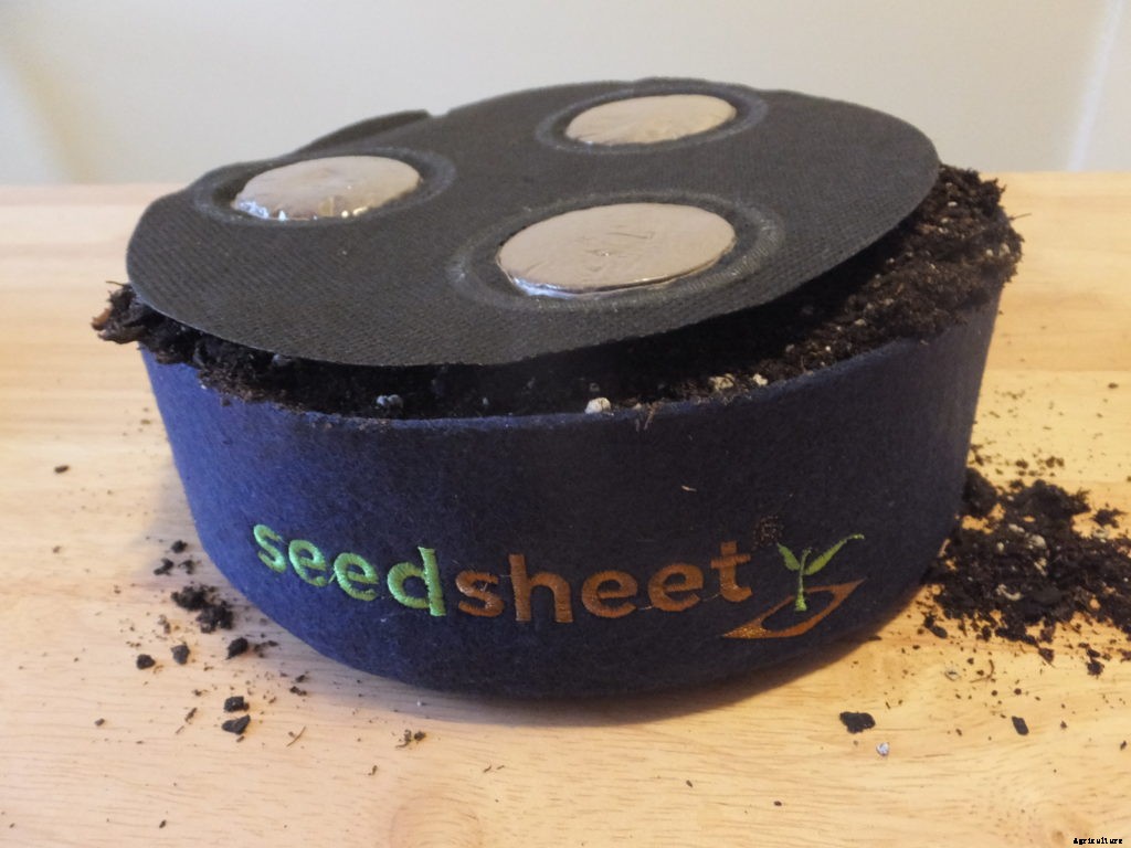Is the Seedsheet Mini good for apartment dwellers?