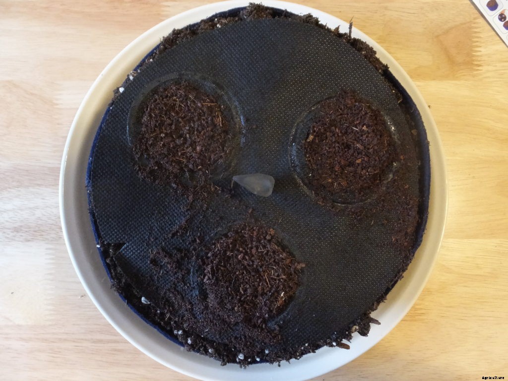 Is the Seedsheet Mini good for apartment dwellers?