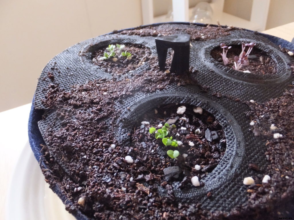 Is the Seedsheet Mini good for apartment dwellers?