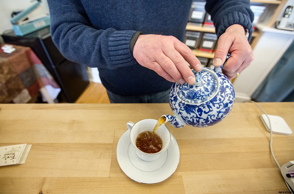 What to do with used tea bags