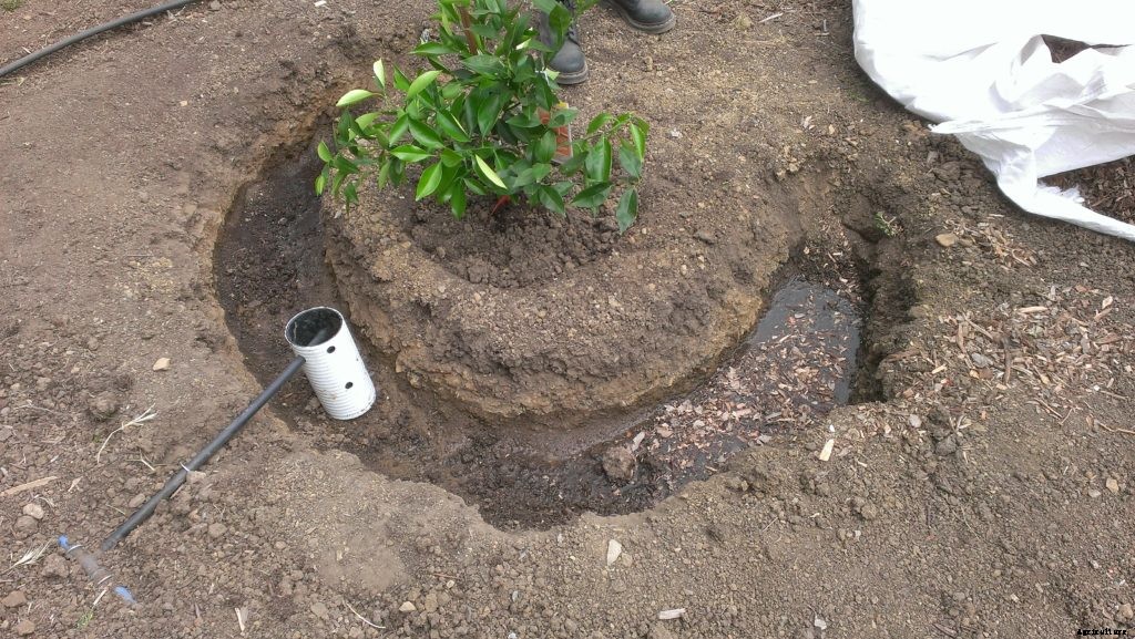 What is greywater and how can it be used?