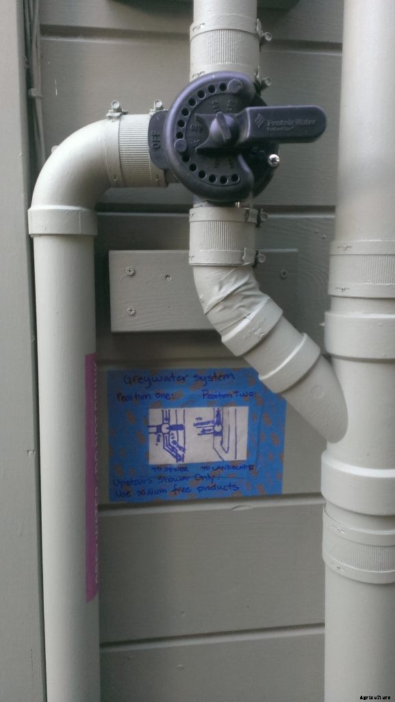 What is greywater and how can it be used?