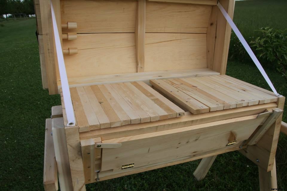 Here are several types of beehives to consider