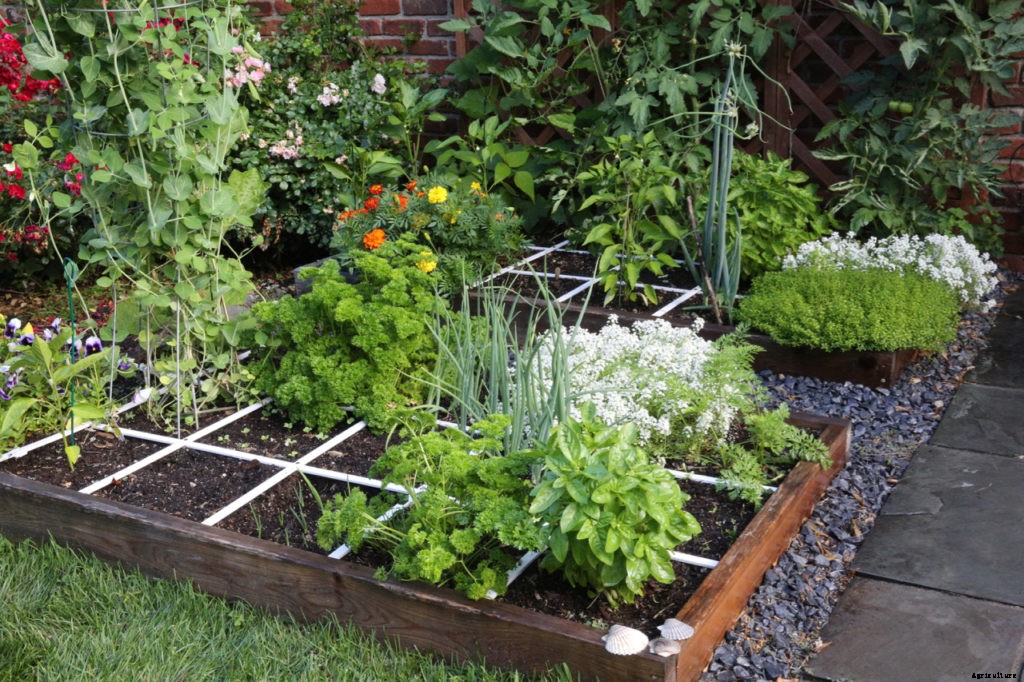 What is square foot gardening and should you try it this spring?