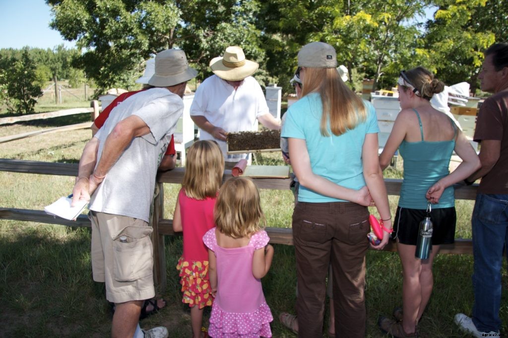 Community apiaries are changing the urban beekeeping game