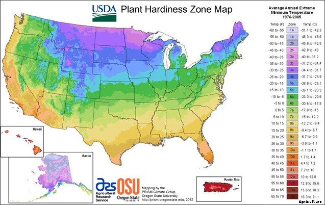 What hardiness zones mean and how to determine yours
