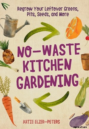 How to grow an avocado tree from an avocado pit