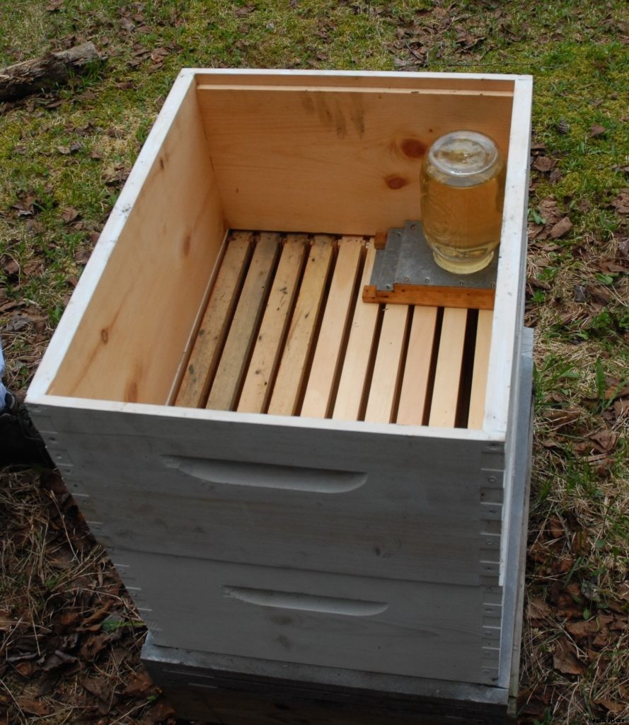 Before the bee packets arrive, prepare for your beehive