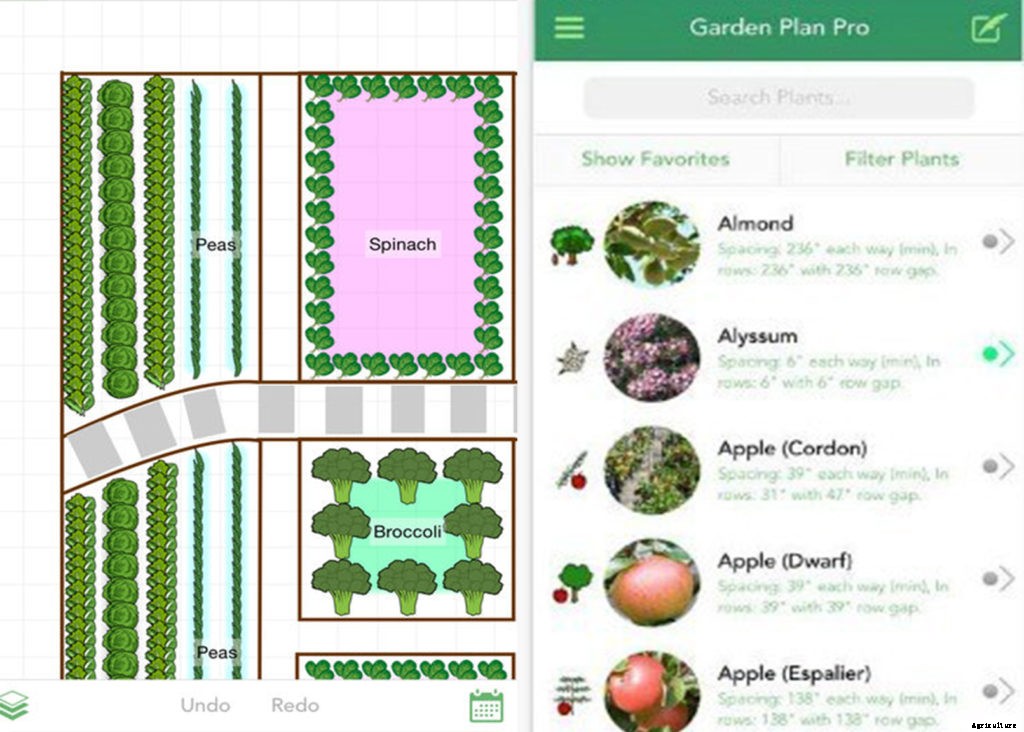 6 gardening apps for planning your plantings