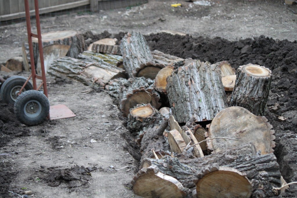 Should you experiment with hugelkultur in your garden?