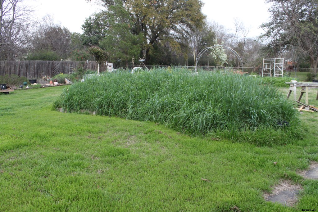 Should you experiment with hugelkultur in your garden?