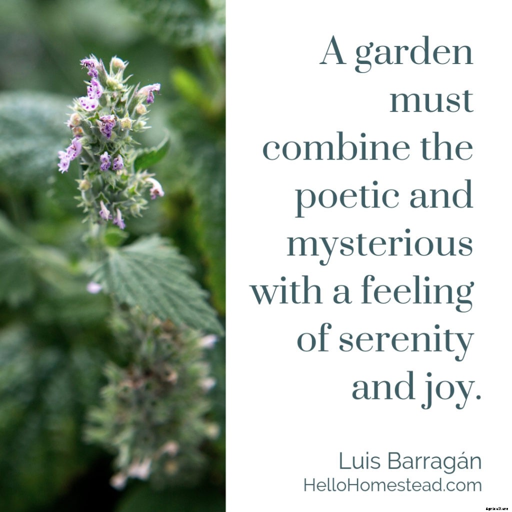 10 gardening quotes that we love