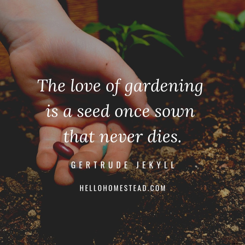 10 gardening quotes that we love