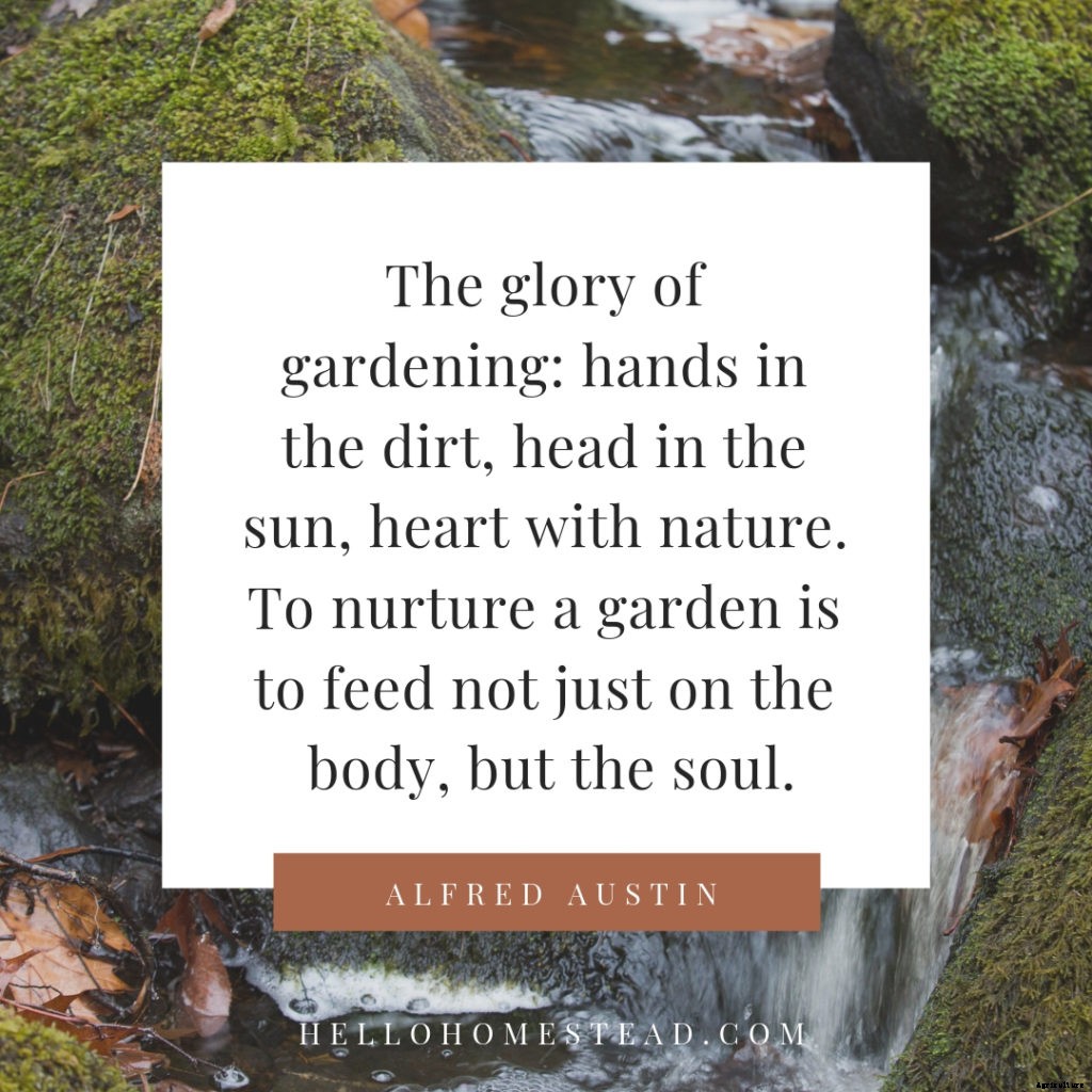 10 gardening quotes that we love