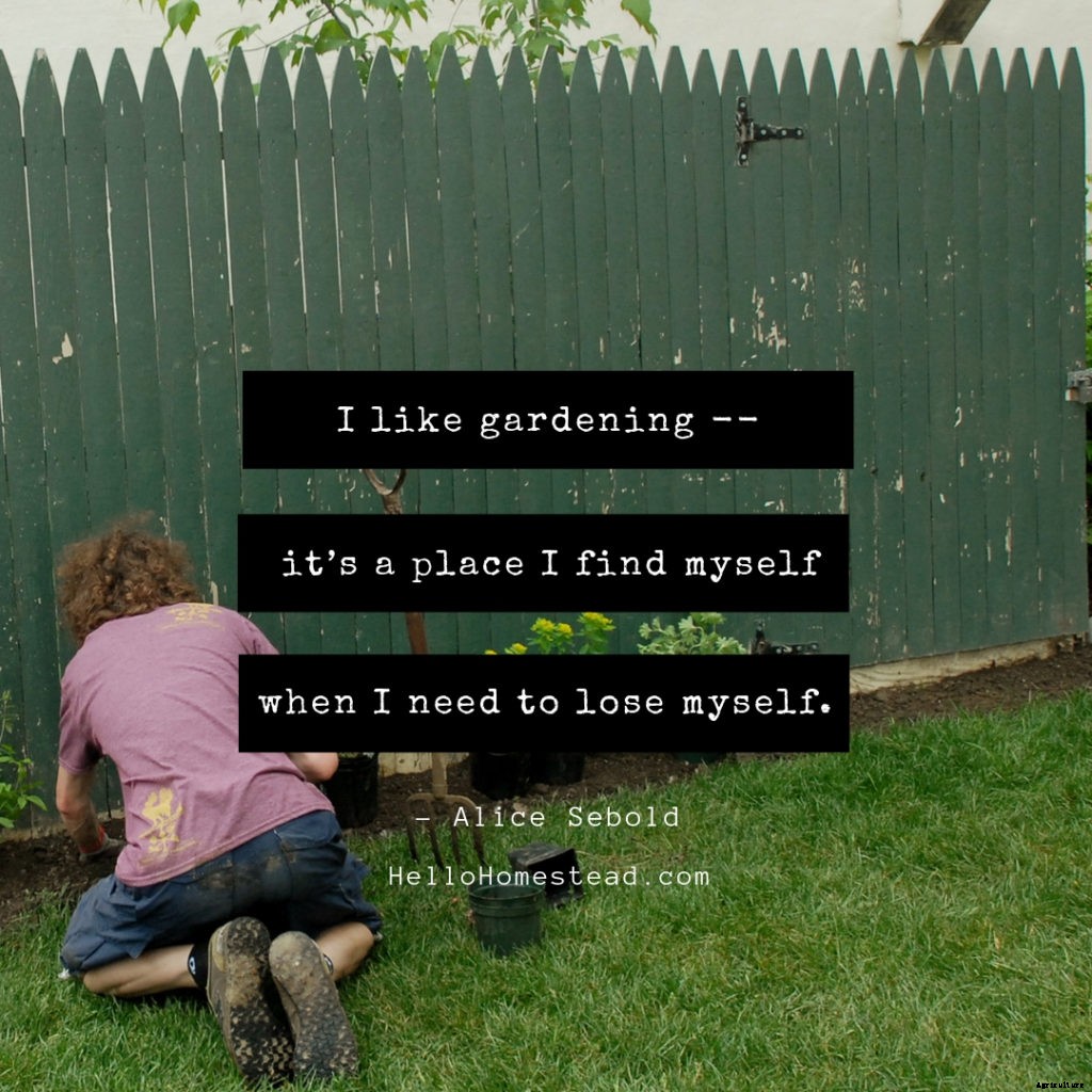 10 gardening quotes that we love