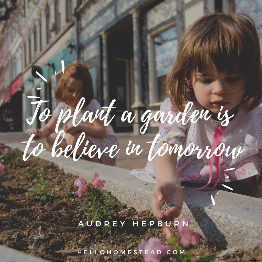 10 gardening quotes that we love