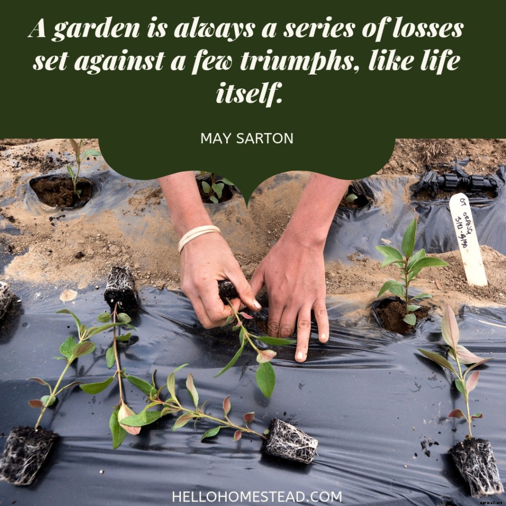 10 gardening quotes that we love