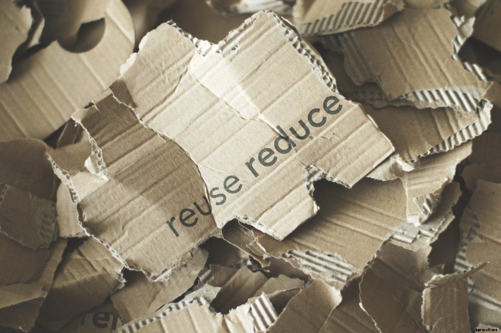 3 ways to reuse cardboard boxes in the garden