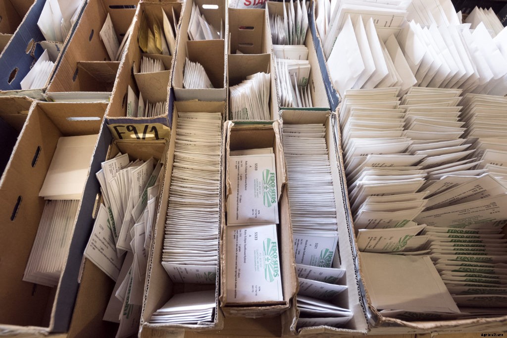 When is the right time to order seeds?