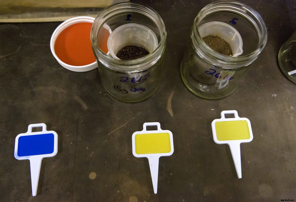 How you can get involved with citizen science on your homestead