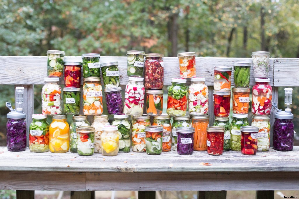 How you can get involved with citizen science on your homestead